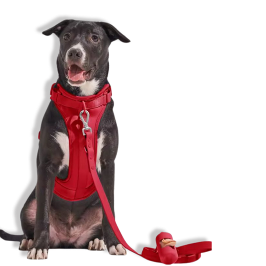 Dog Harness | Red