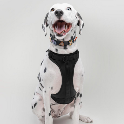 Discover the ultimate no-pull dog harnesses in New Zealand. Walkieez harnesses offers comfort, adjustability and a front D-ring for easy and effective training.