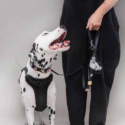 Discover the ultimate no-pull dog harnesses in New Zealand. Walkieez harnesses offers comfort, adjustability and a front D-ring for easy and effective training.
