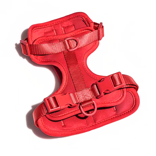 Dog Harness | Red